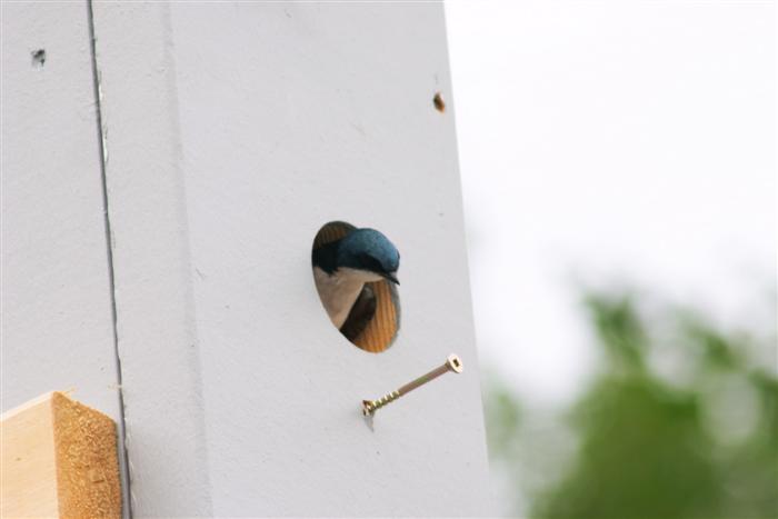 Kelly_s_Cabin_010704_098.jpg