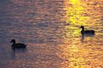 Kelly_s_Cabin_010704_169.jpg