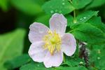 Kelly_s_Cabin_010704_187.jpg