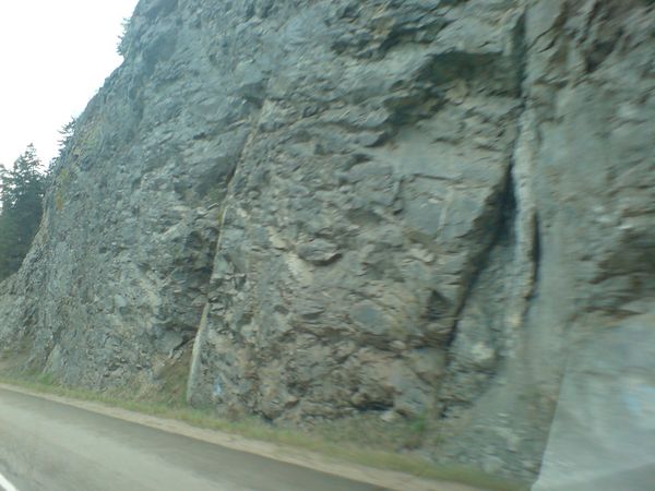 DSC00394.JPG