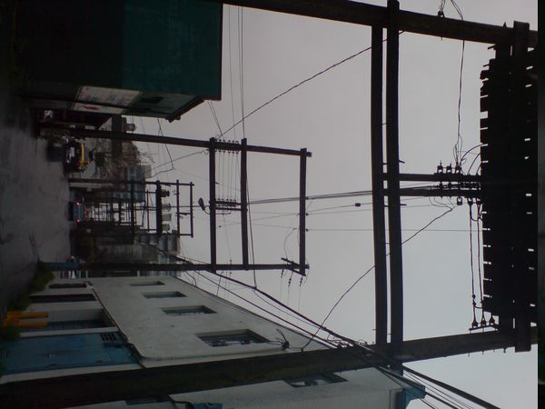 DSC00415.JPG