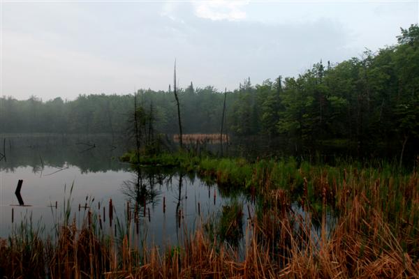 Alexandra's Cabin 076.JPG