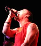 The_Salads_180504_Ryan_Jackson_014.jpg